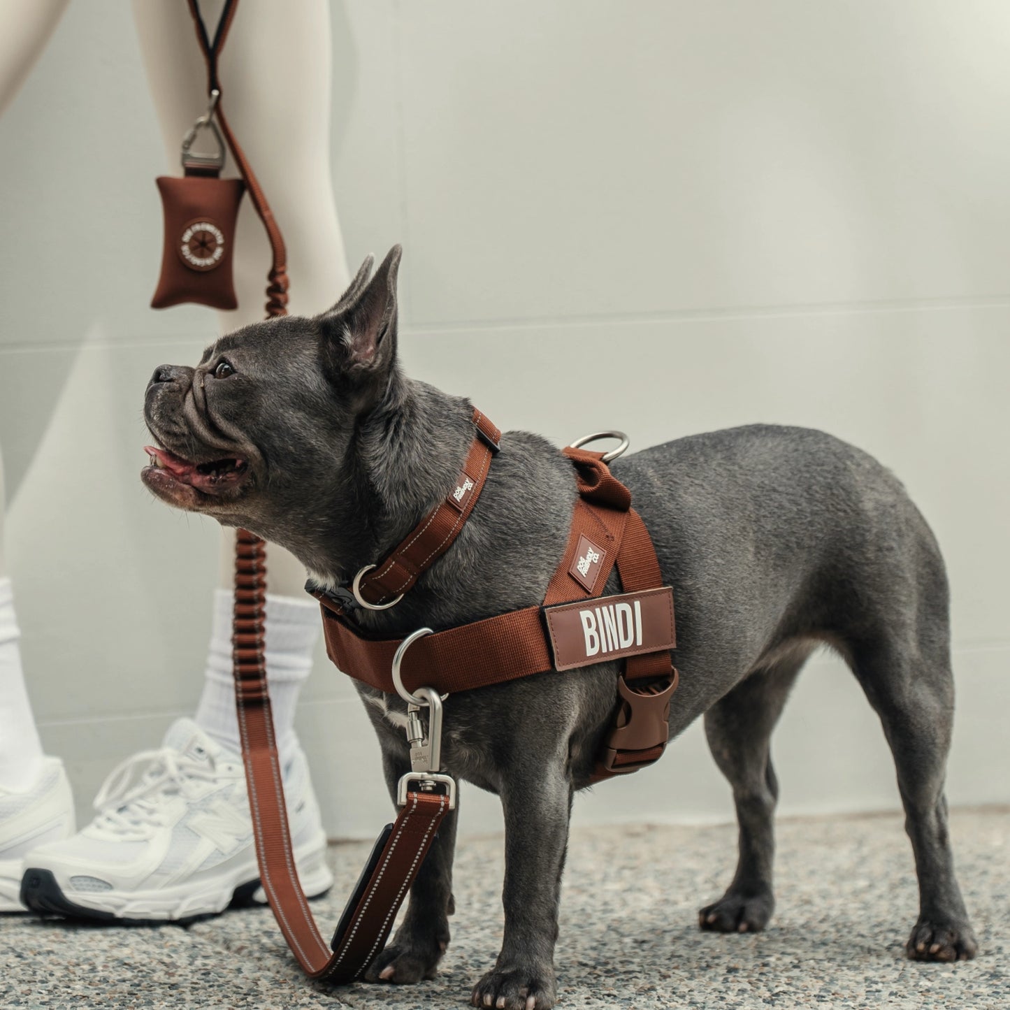 Ultimate No-Pull Bundle - Limited Edition Mocha