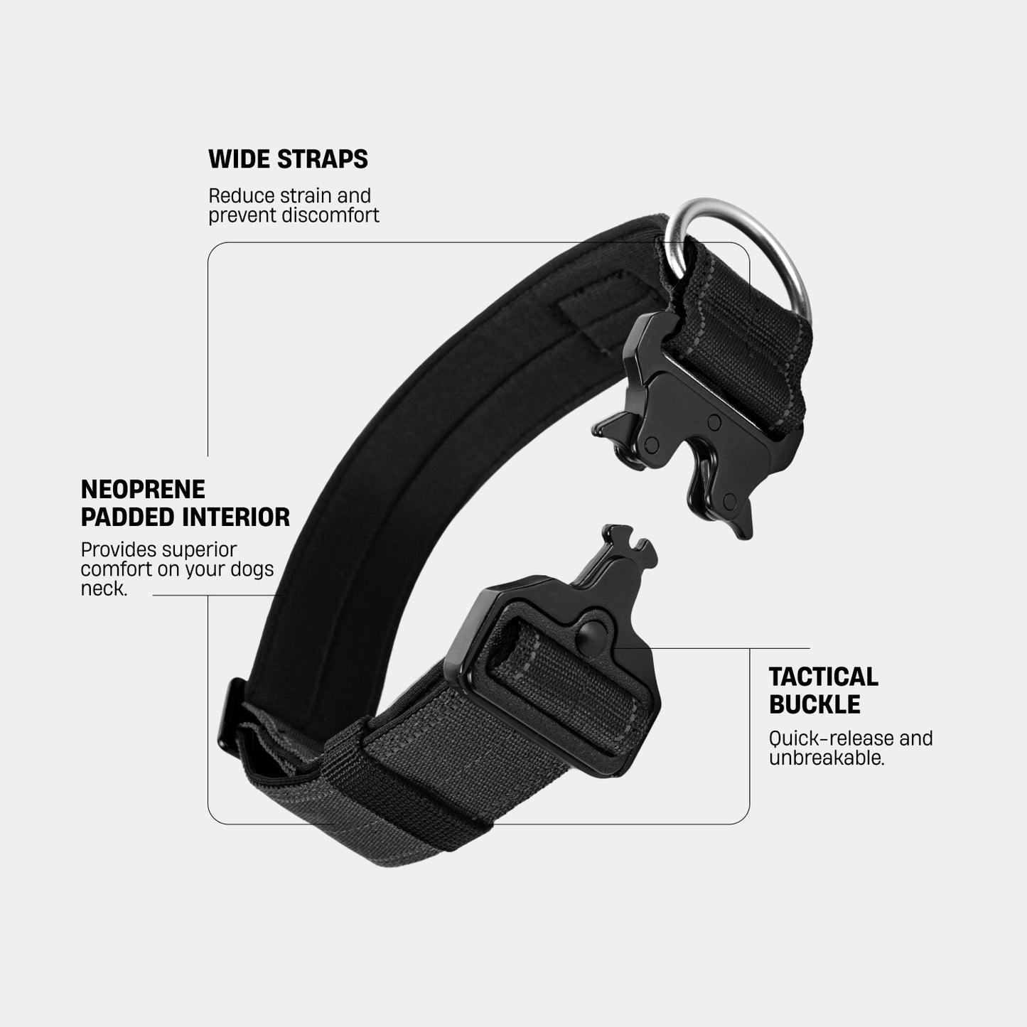 Halsband-Set für Spaziergänge - Schwarz