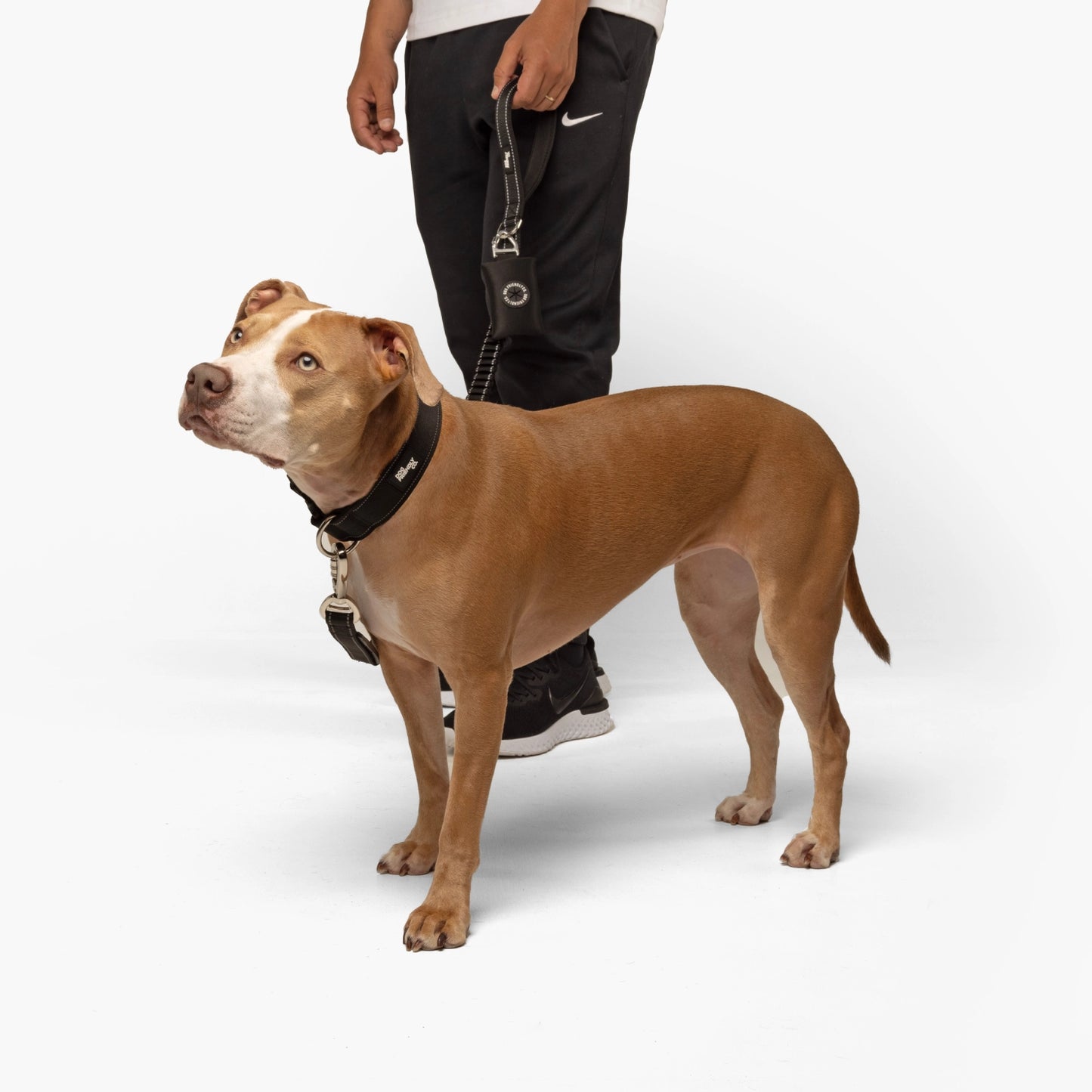 Halsband-Set für Spaziergänge - Schwarz