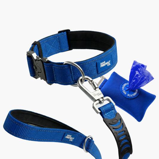 Halsband-Set - Klassisches Blau