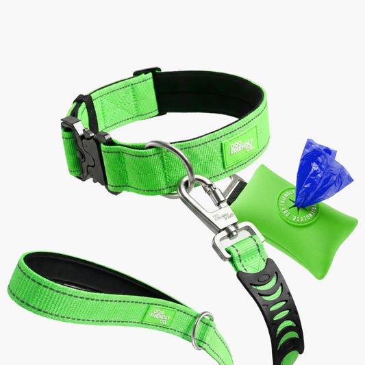 Halsband-Set für Spaziergänge - Neon Grün