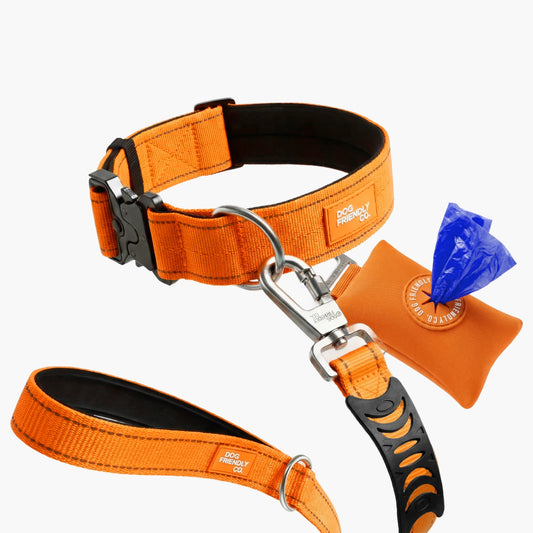 Halsband-Set für Spaziergänge - Signalorange