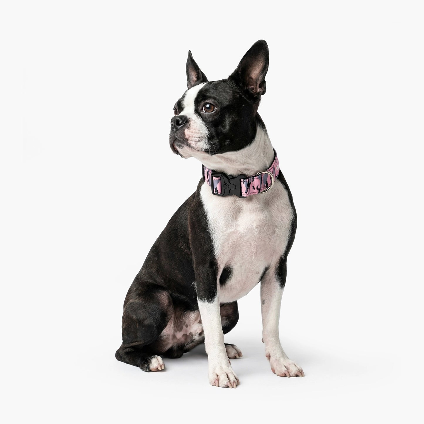 Halsband-Set für Spaziergänge - Rosa Camouflage