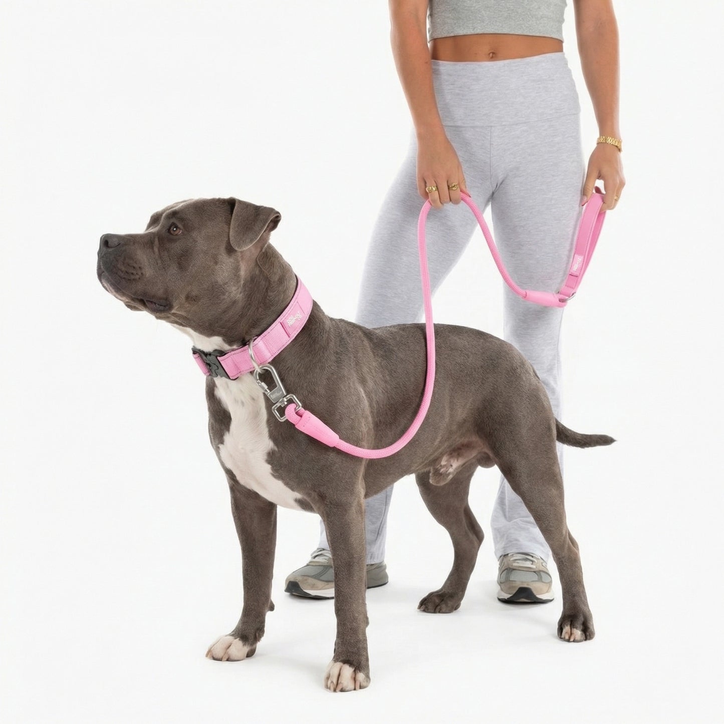 Halsband-Set für Spaziergänge - Rosa