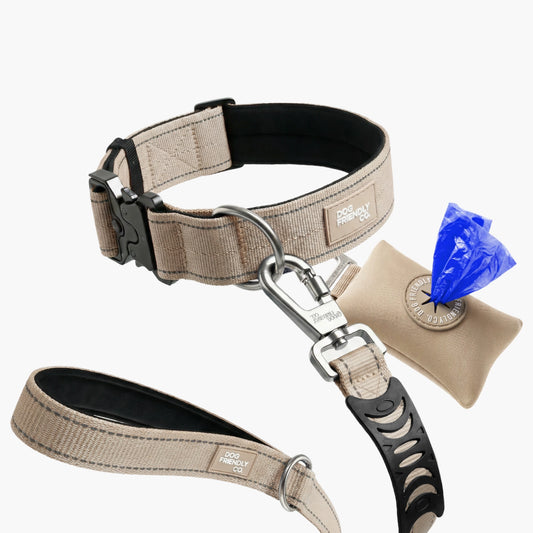 Halsband-Set für Spaziergänge - Braun
