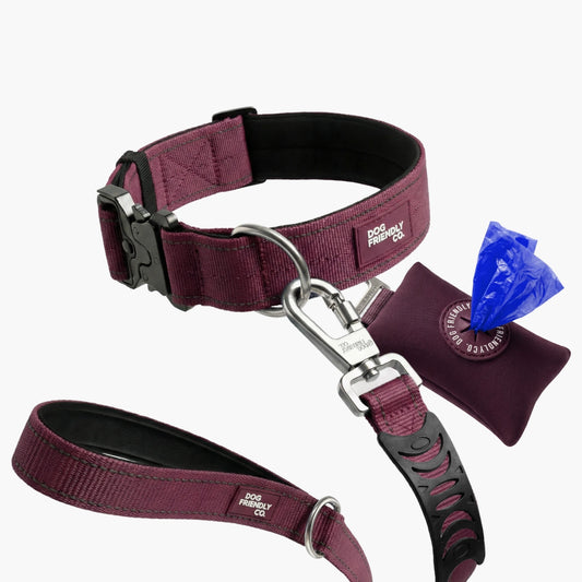 Halsband-Set für Spaziergänge - Burgunder