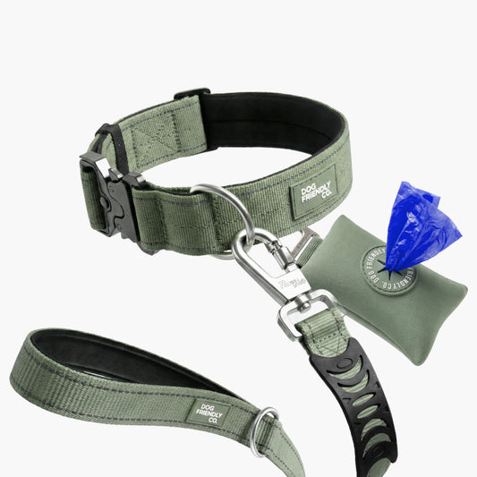 Halsband-Set für Spaziergänge - Khaki