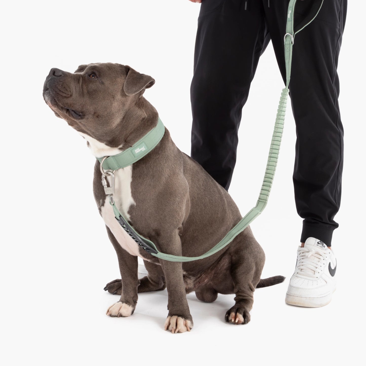 Halsband-Set für Spaziergänge - Khaki