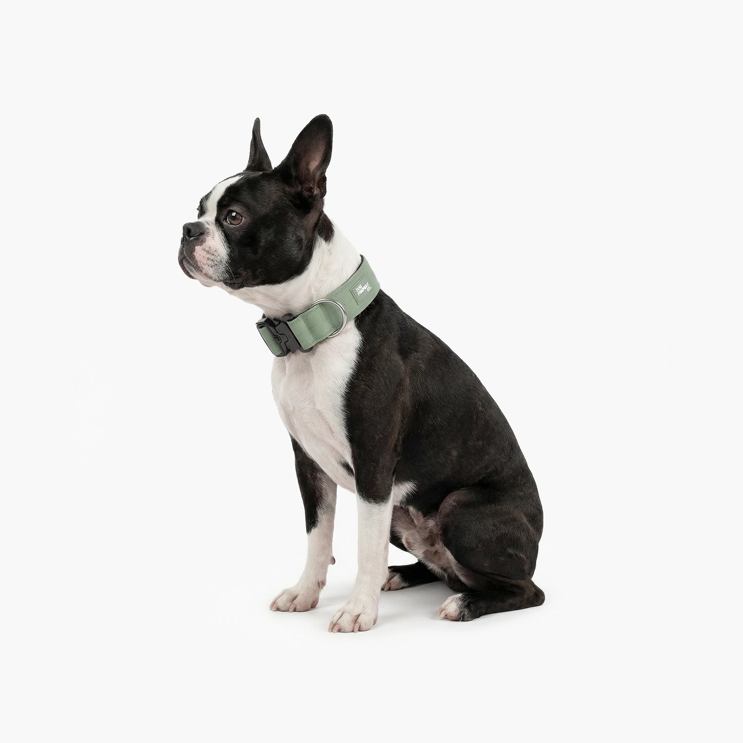 Halsband-Set für Spaziergänge - Khaki