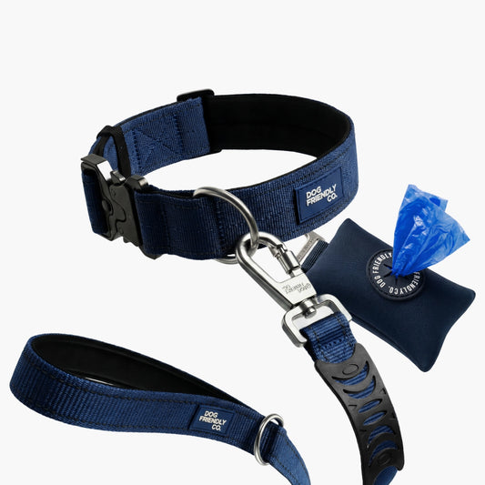 Halsband-Set für Spaziergänge - Marineblau