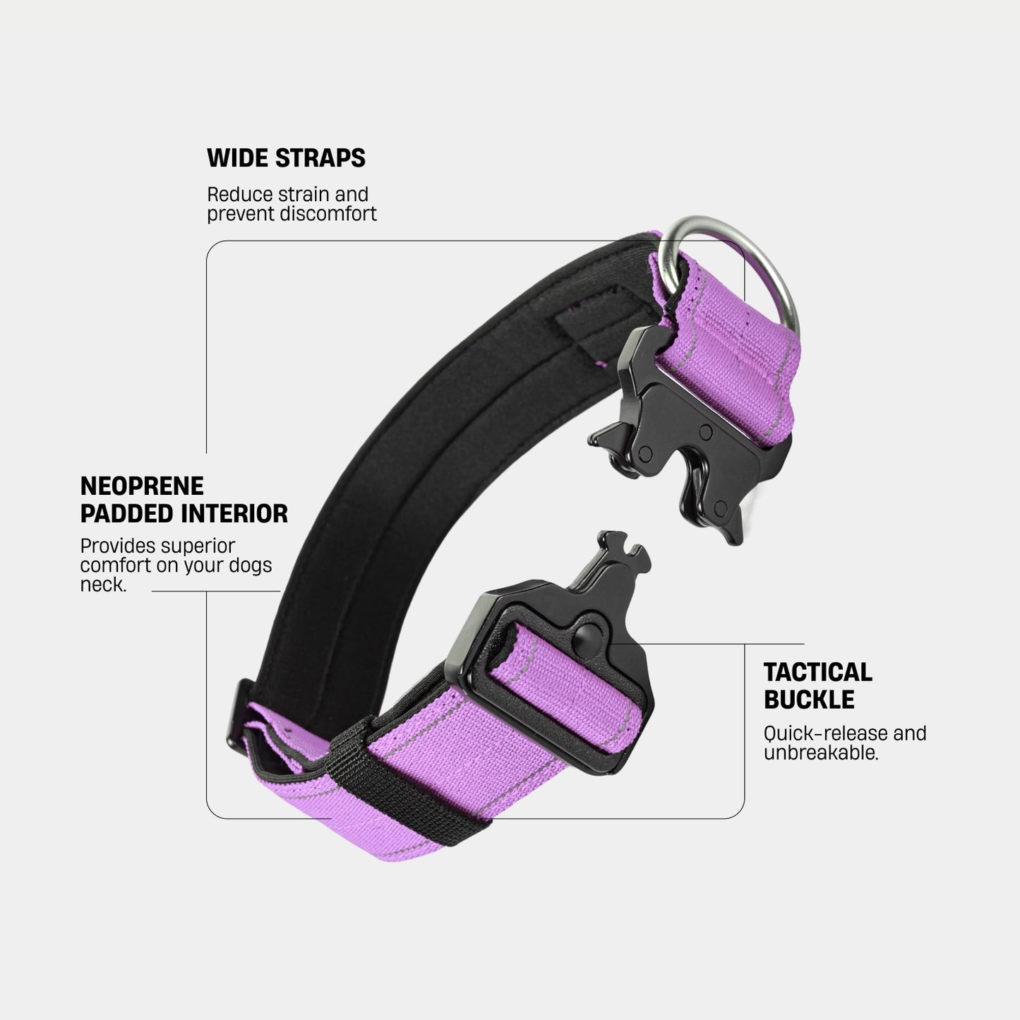 Halsband-Set für Spaziergänge - Lila