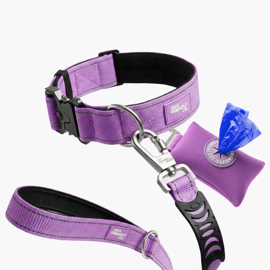 Halsband-Set für Spaziergänge - Lila