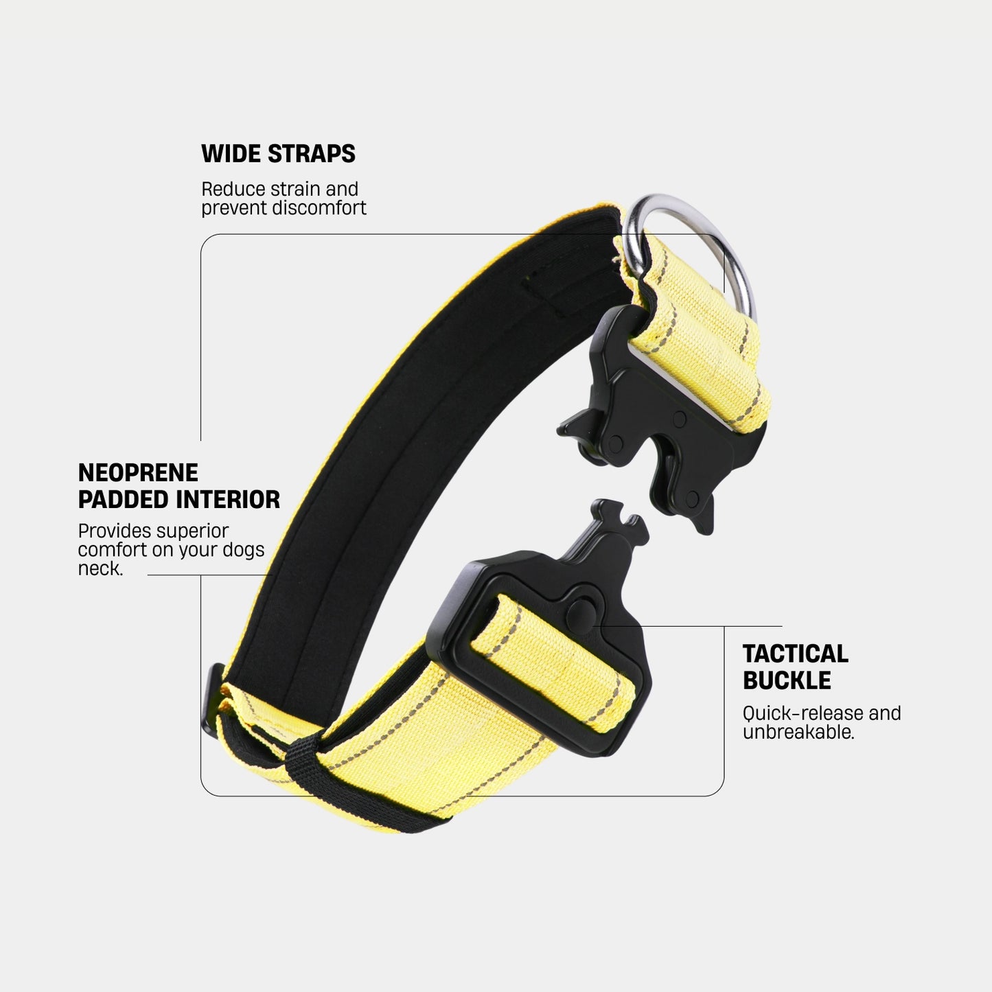 Collar Walk Set - Yellow