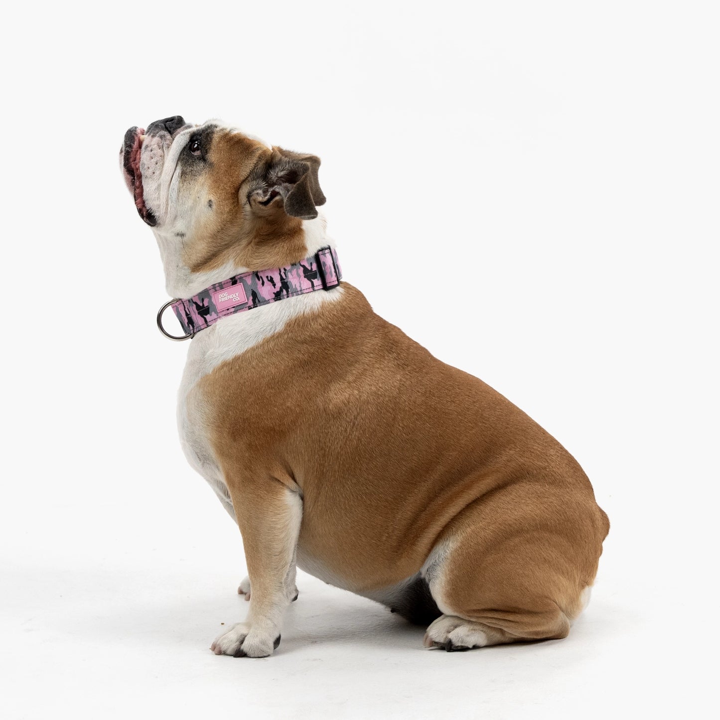 Taktisches Hundehalsband - Rosa Camouflage