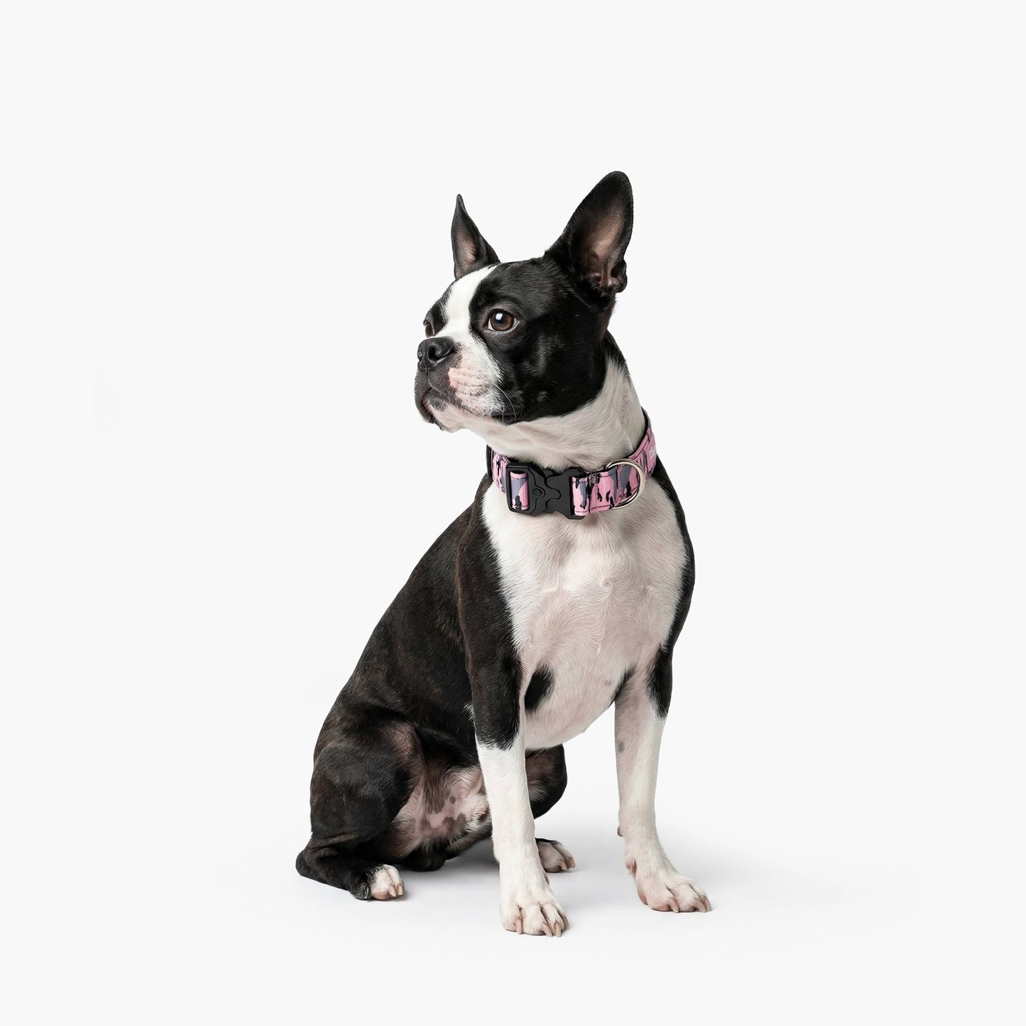 Taktisches Hundehalsband - Rosa Camouflage
