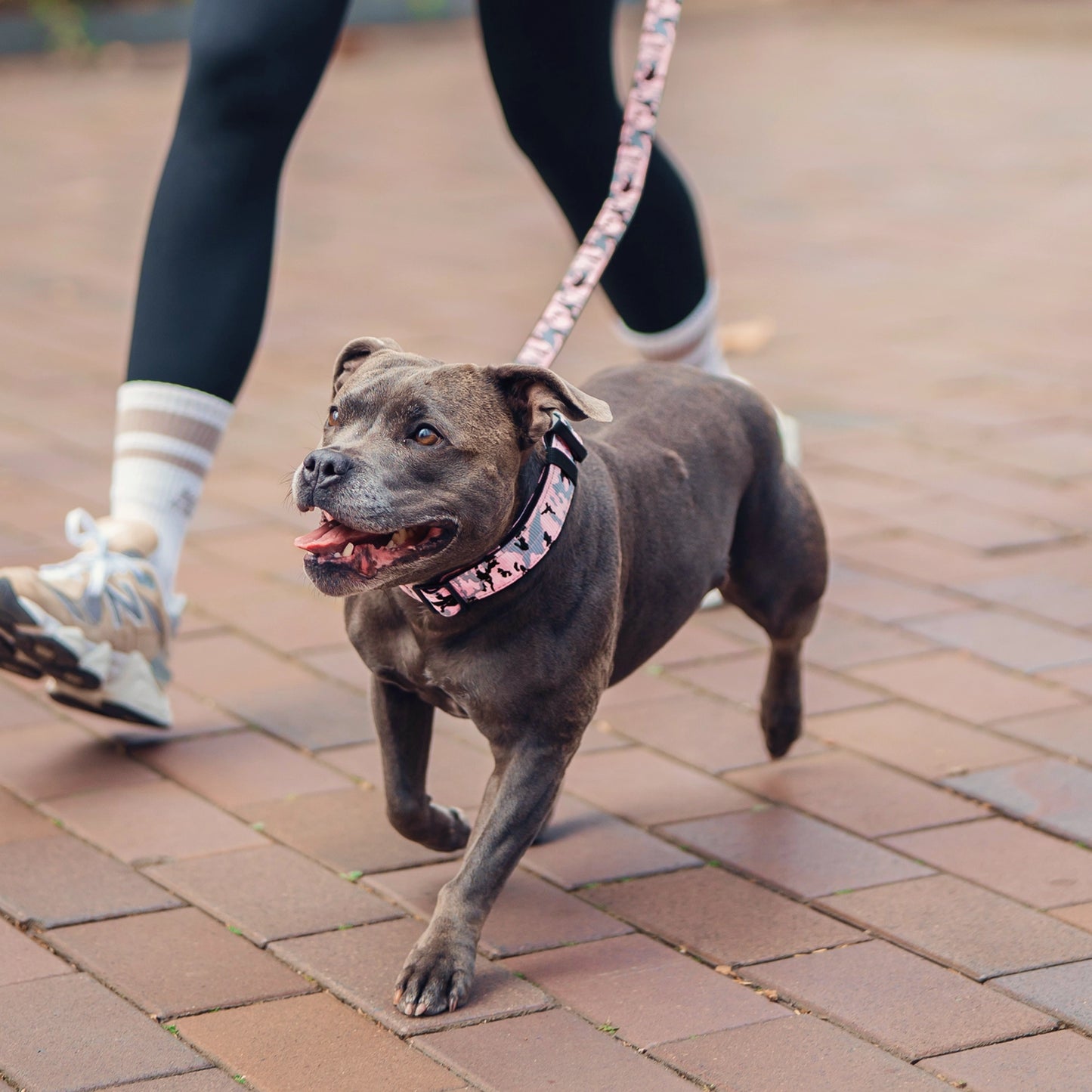 Taktisches Hundehalsband - Rosa Camouflage