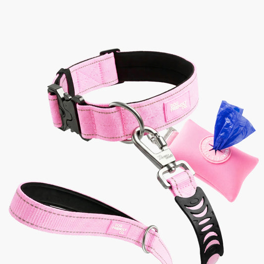Halsband-Set für Spaziergänge - Rosa