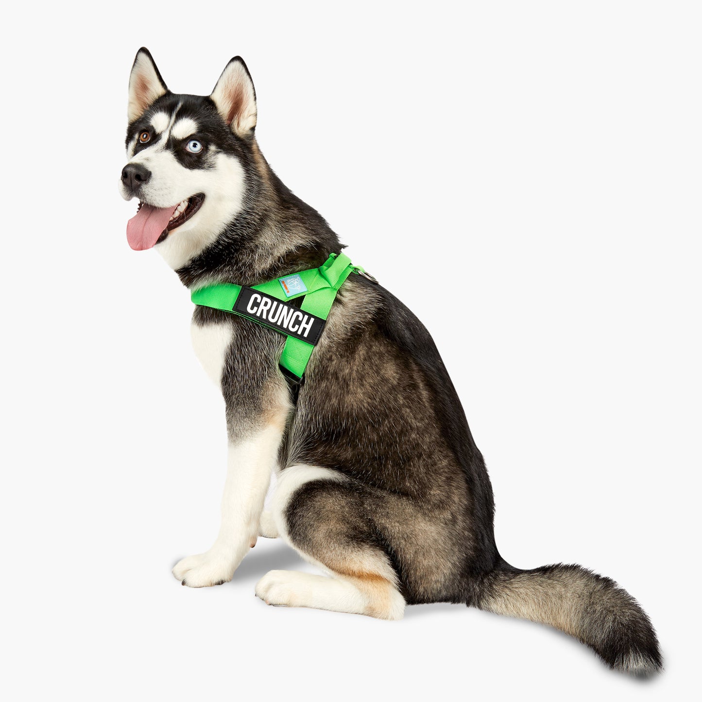 <h2>Spaziergangsbedarf</h2>