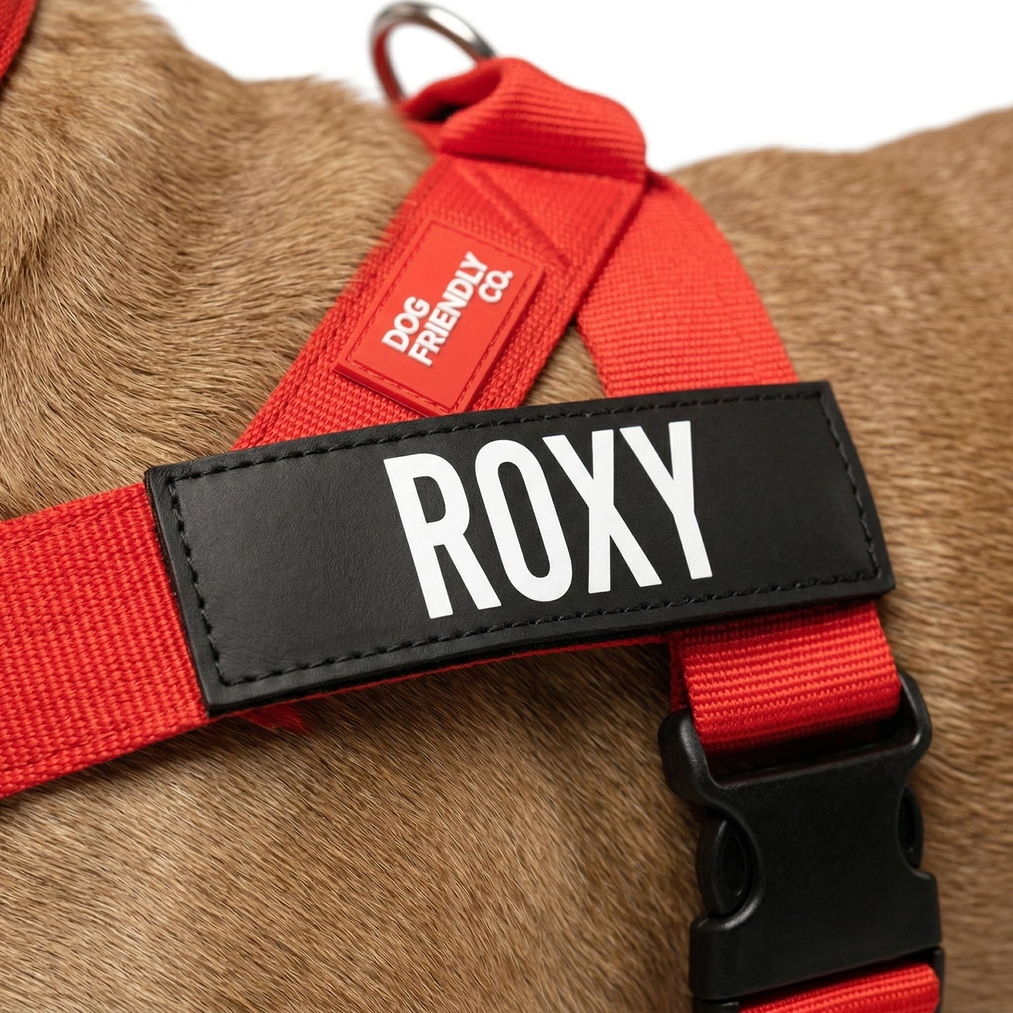 Namensschilder auf Bestellung