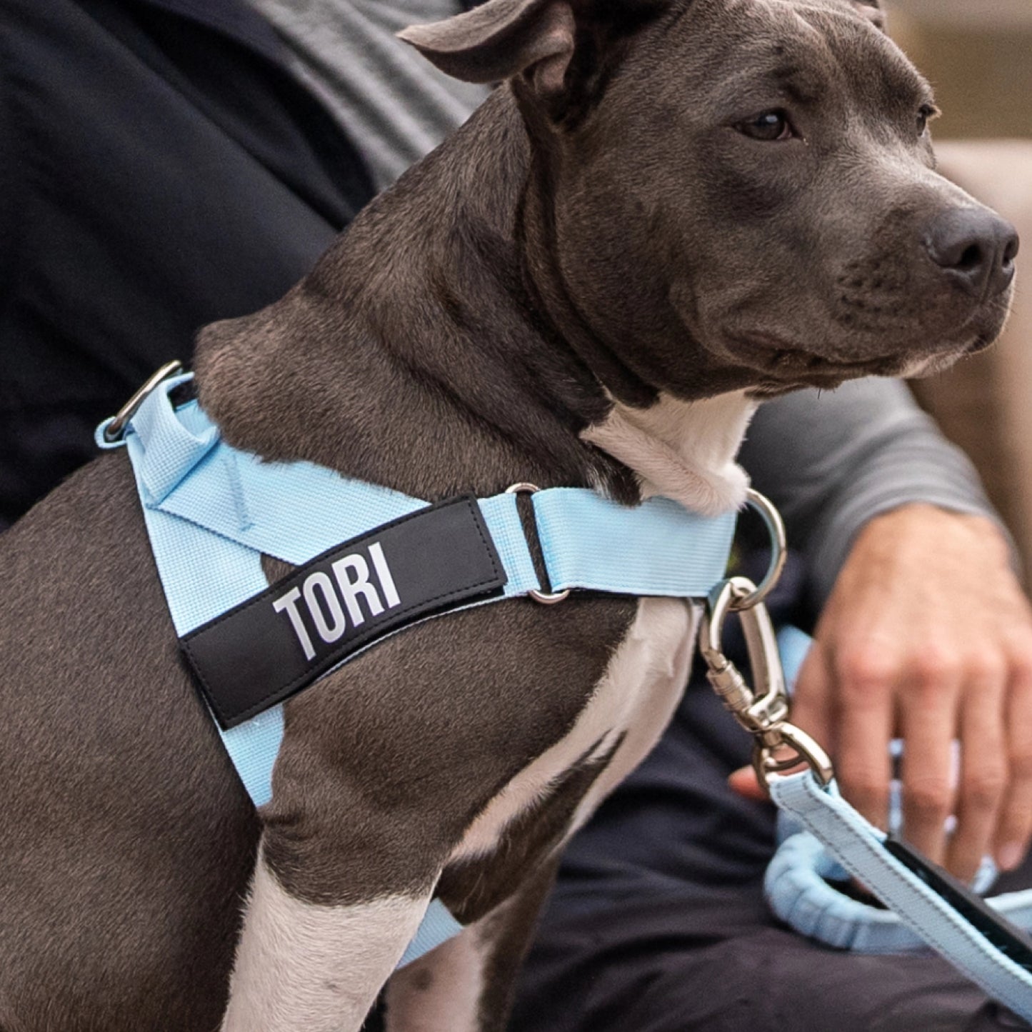 Namensschilder auf Bestellung