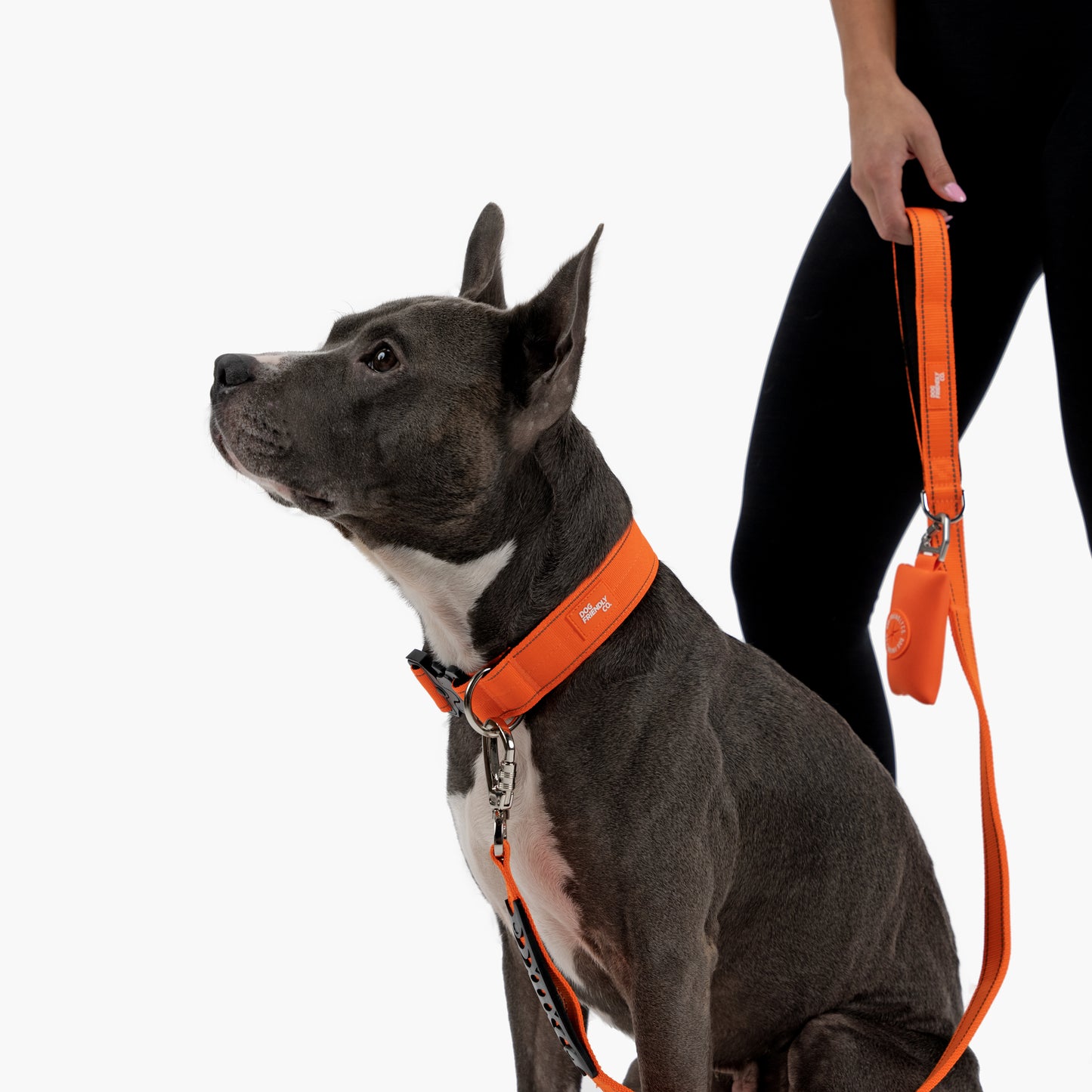 Taktisches Hundehalsband - Orange
