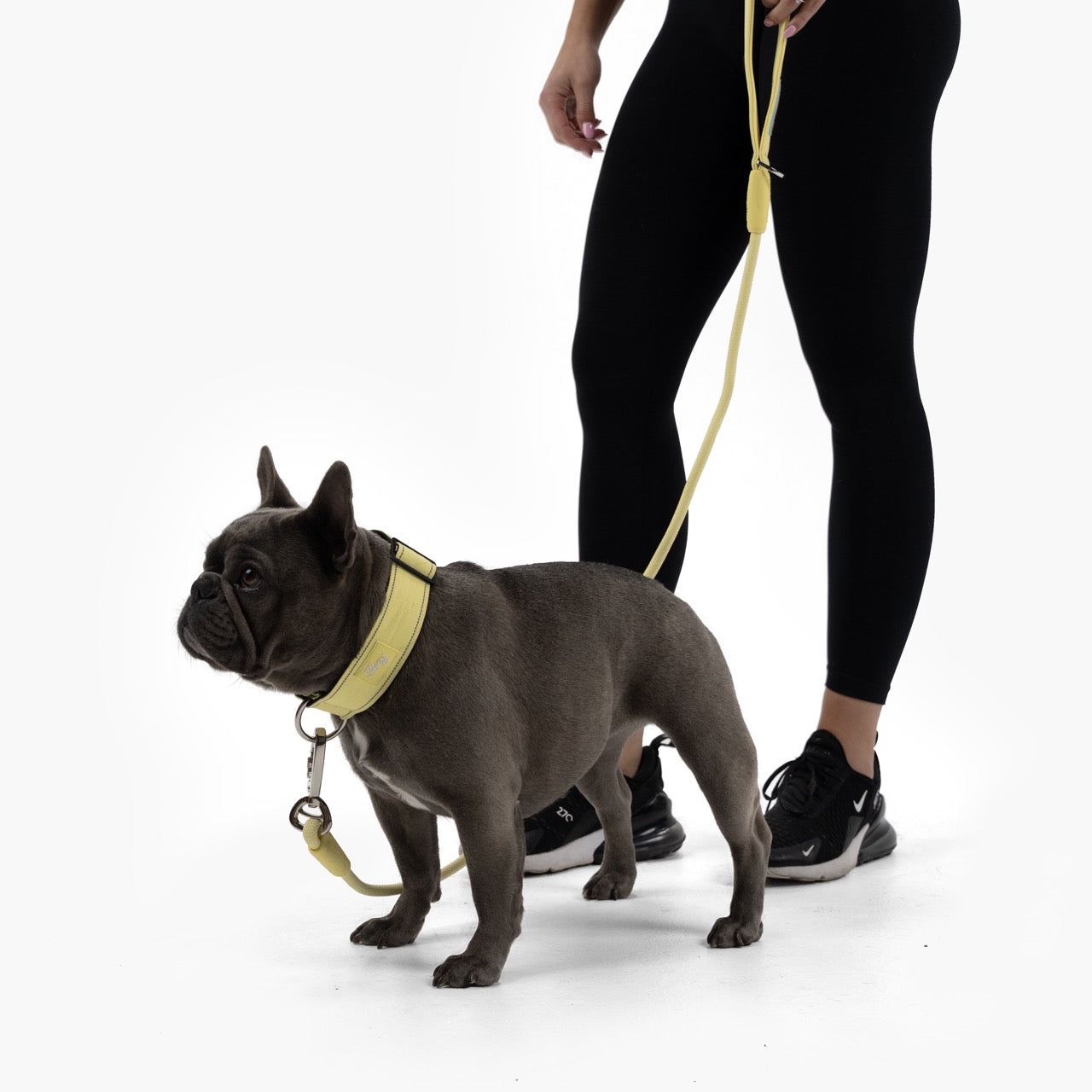 Taktisches Hundehalsband - Gelb