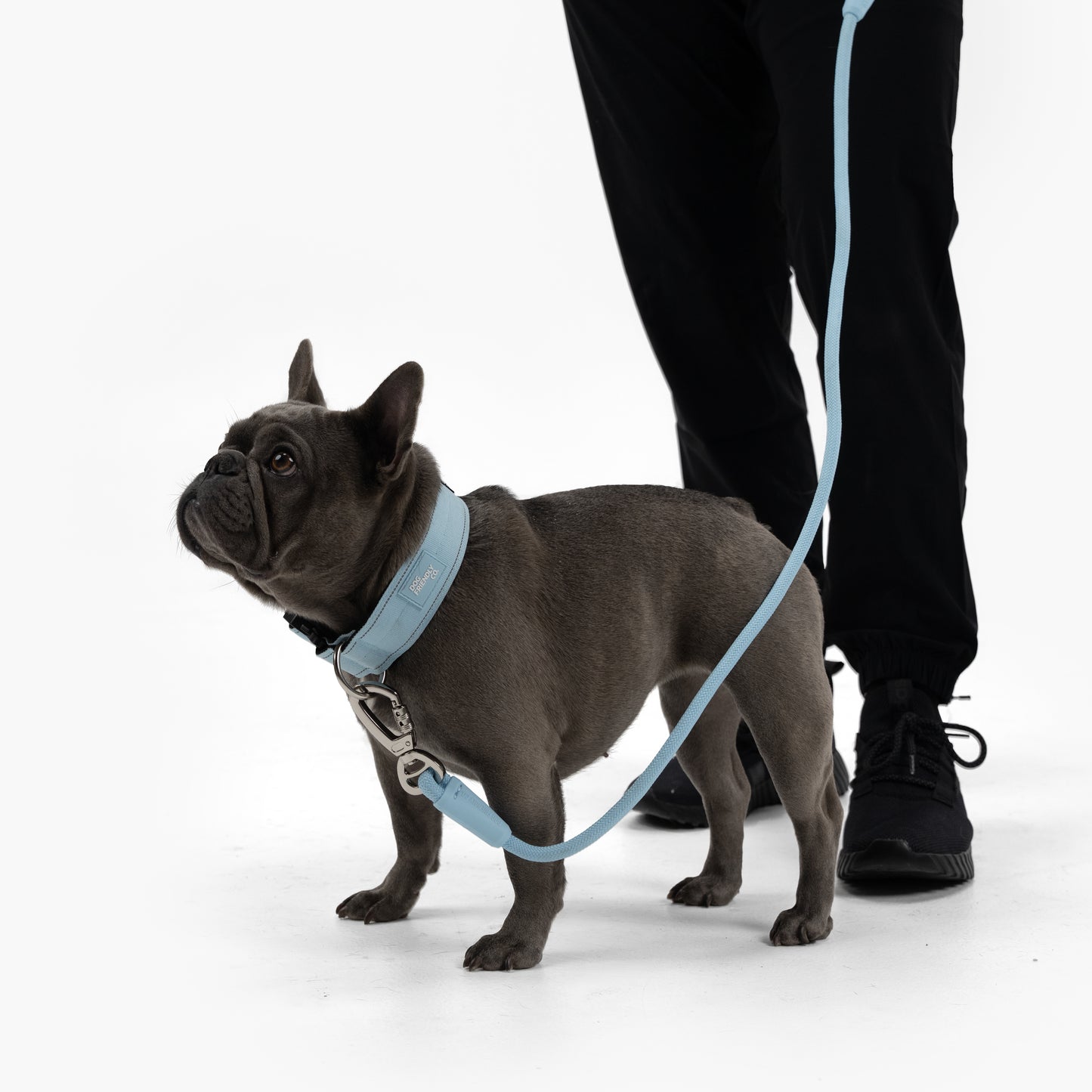 Taktisches Hundehalsband - Himmelblau