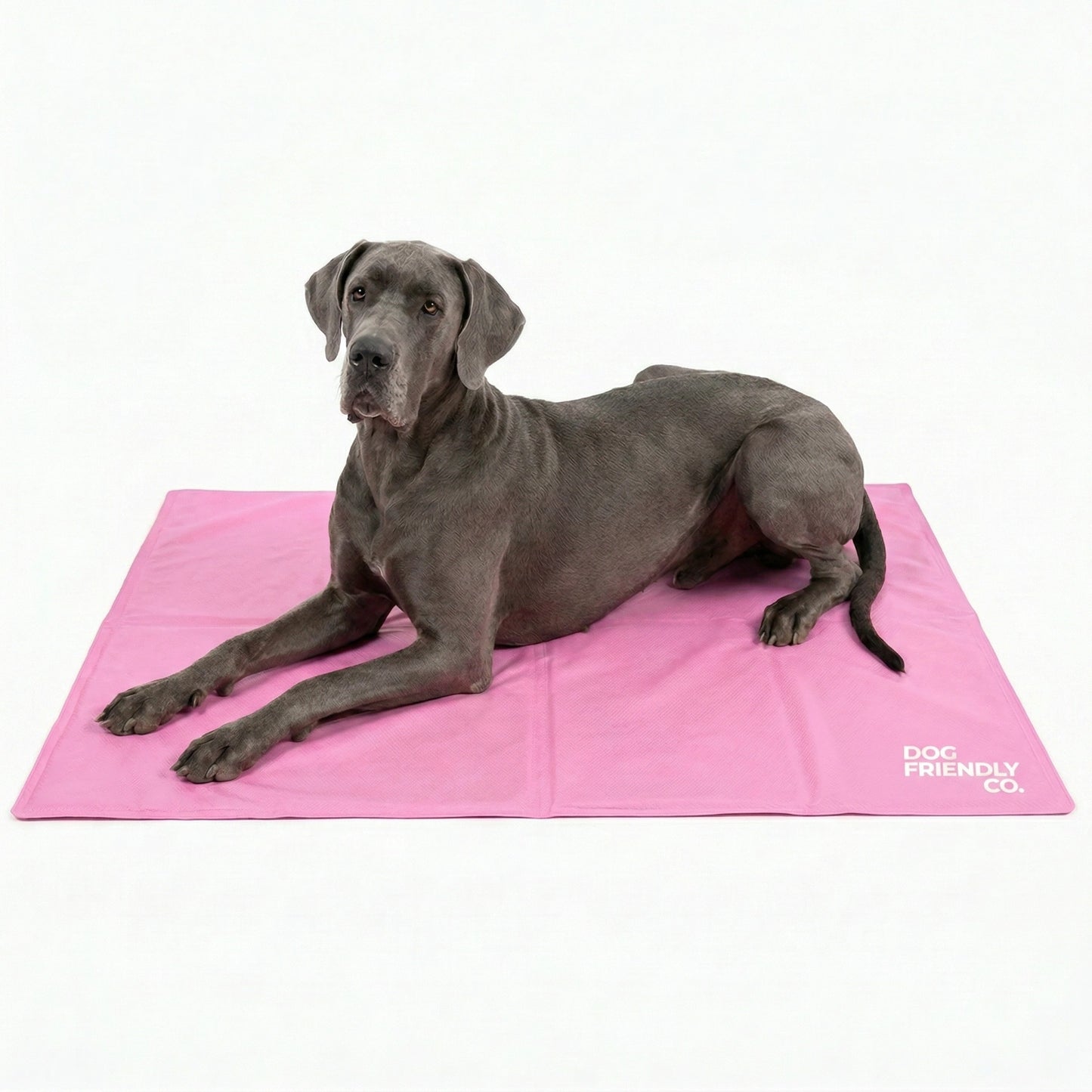 Hundekühlmatte