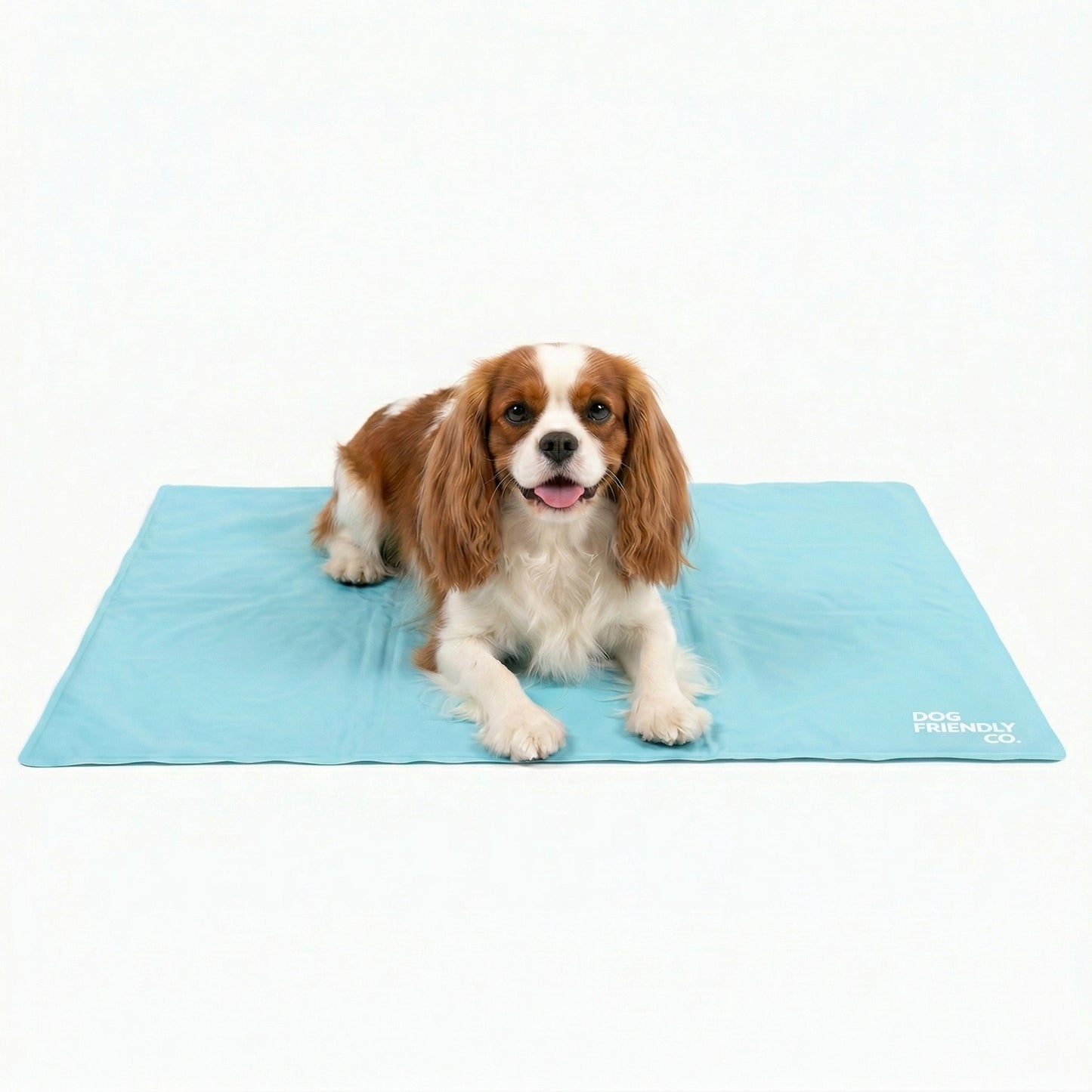 Hundekühlmatte