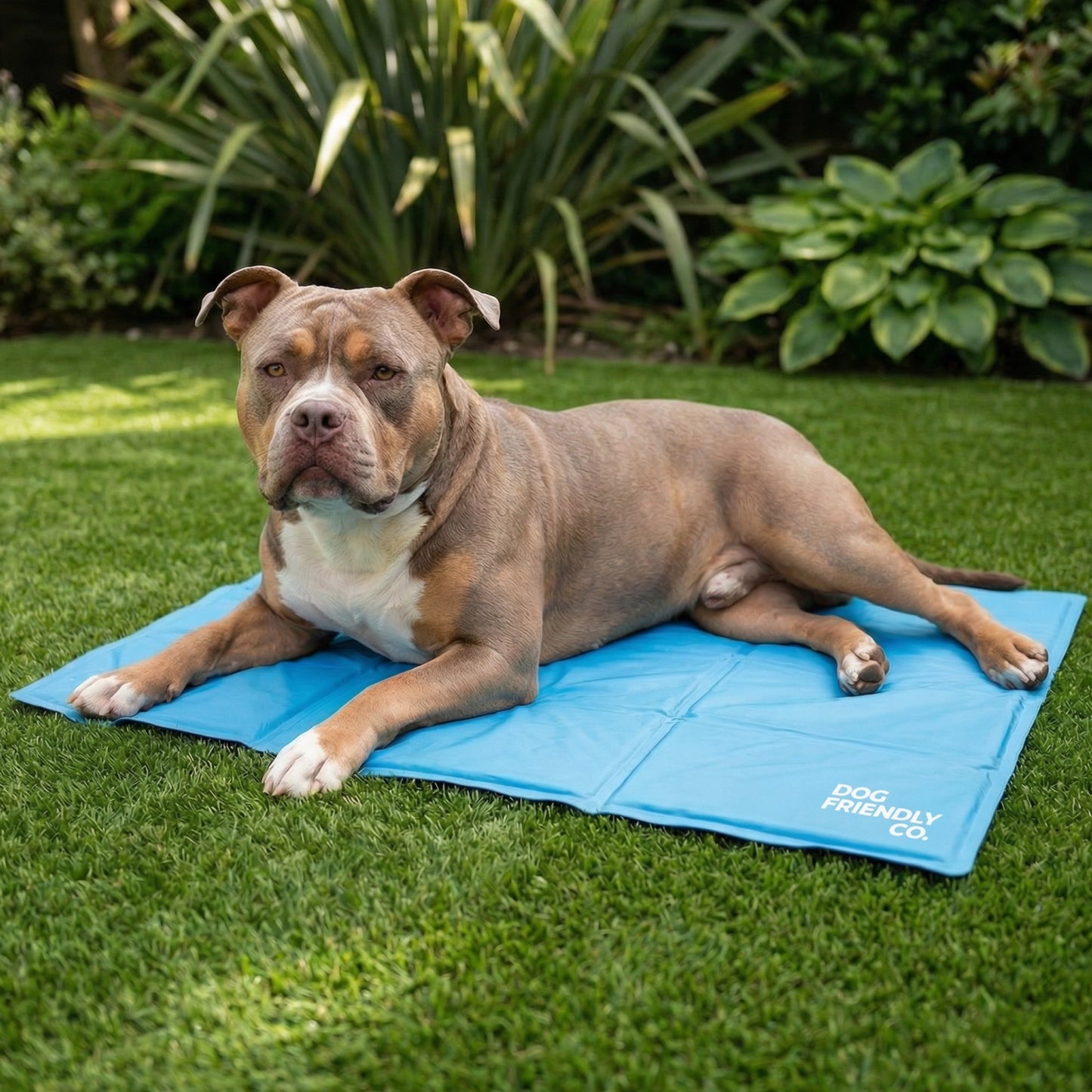 Hundekühlmatte