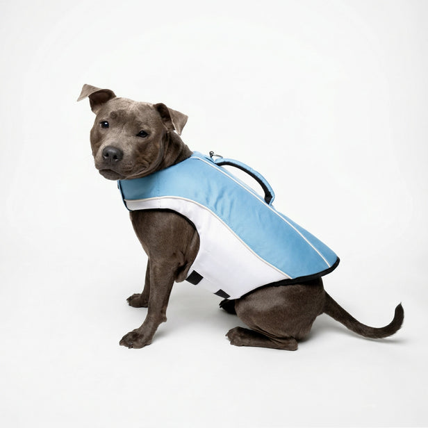 Hund Schwimmweste