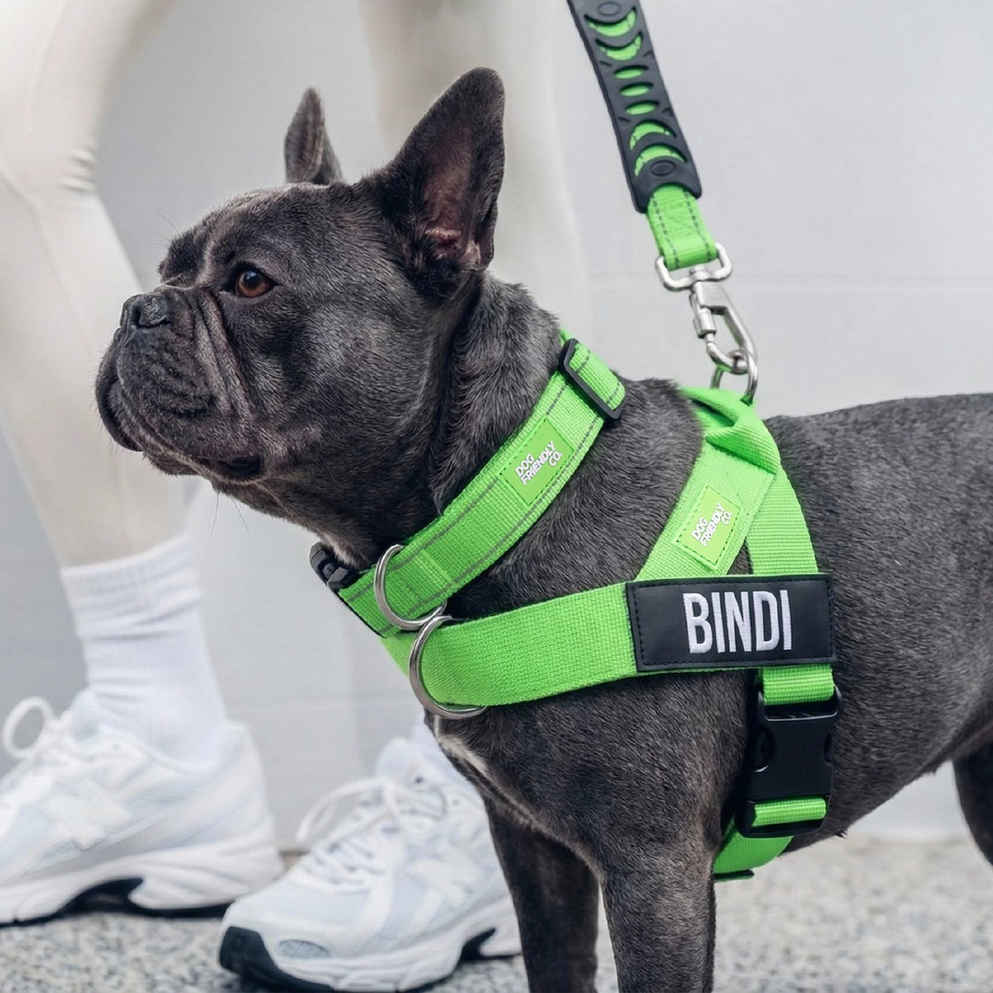 Hundeliebhaber-Paket - Neon Grün