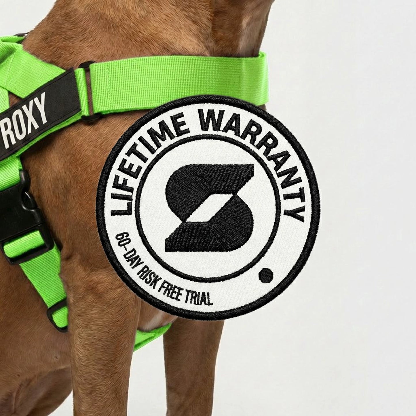 Hundeliebhaber-Paket - Neon Grün