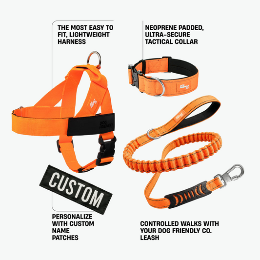 Hundeliebhaber-Paket - Signalfarbe Orange