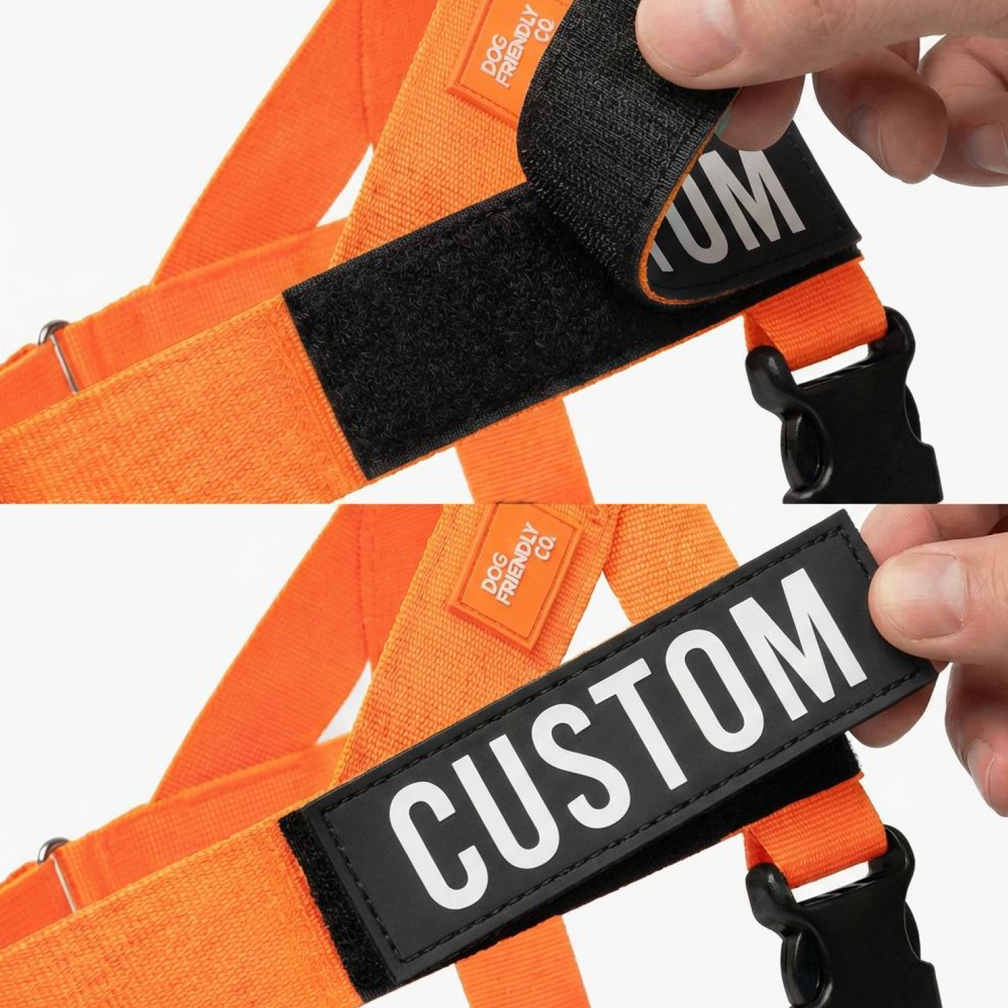 Dog Lovers Pack - Hi-Vis Orange