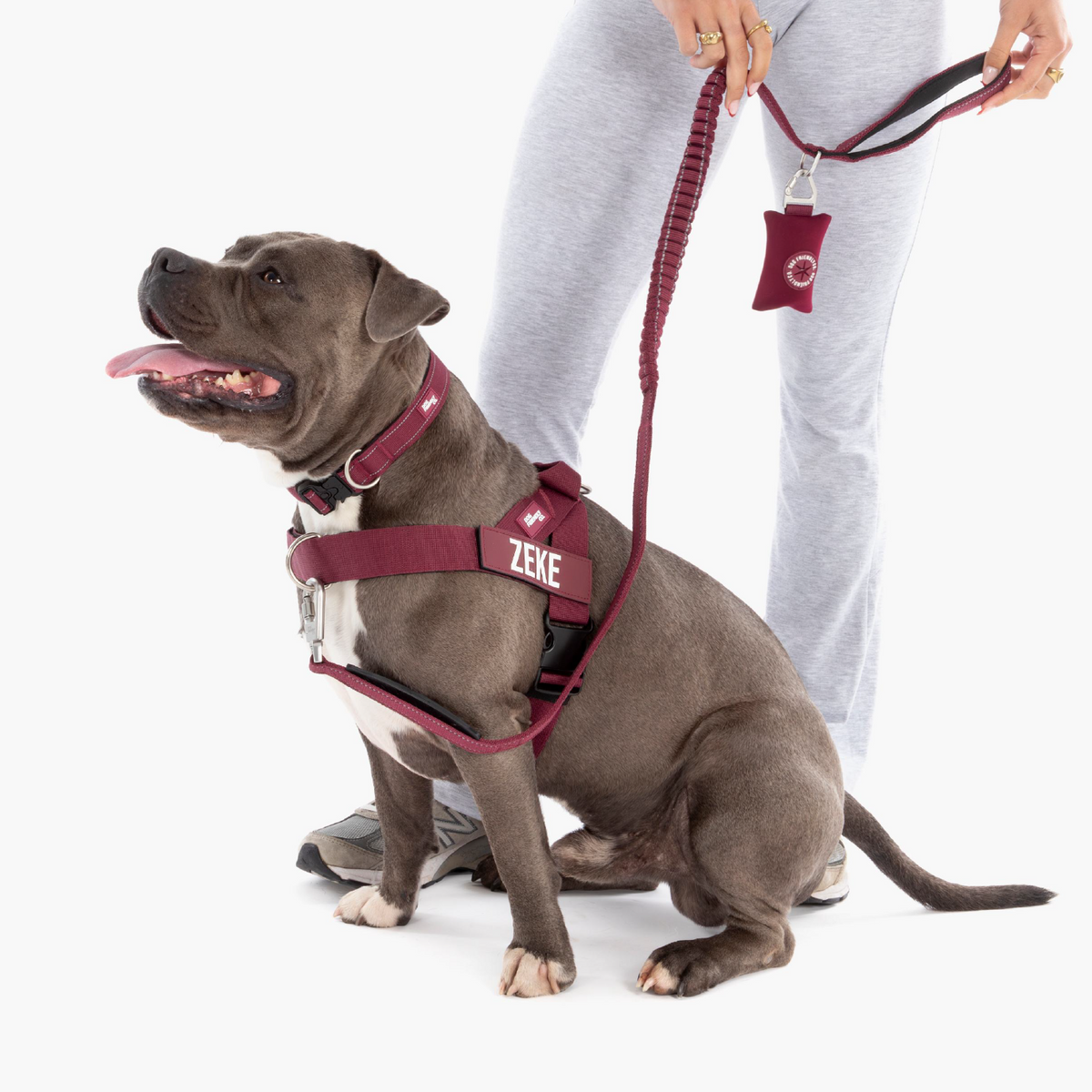 Dog Lovers Pack