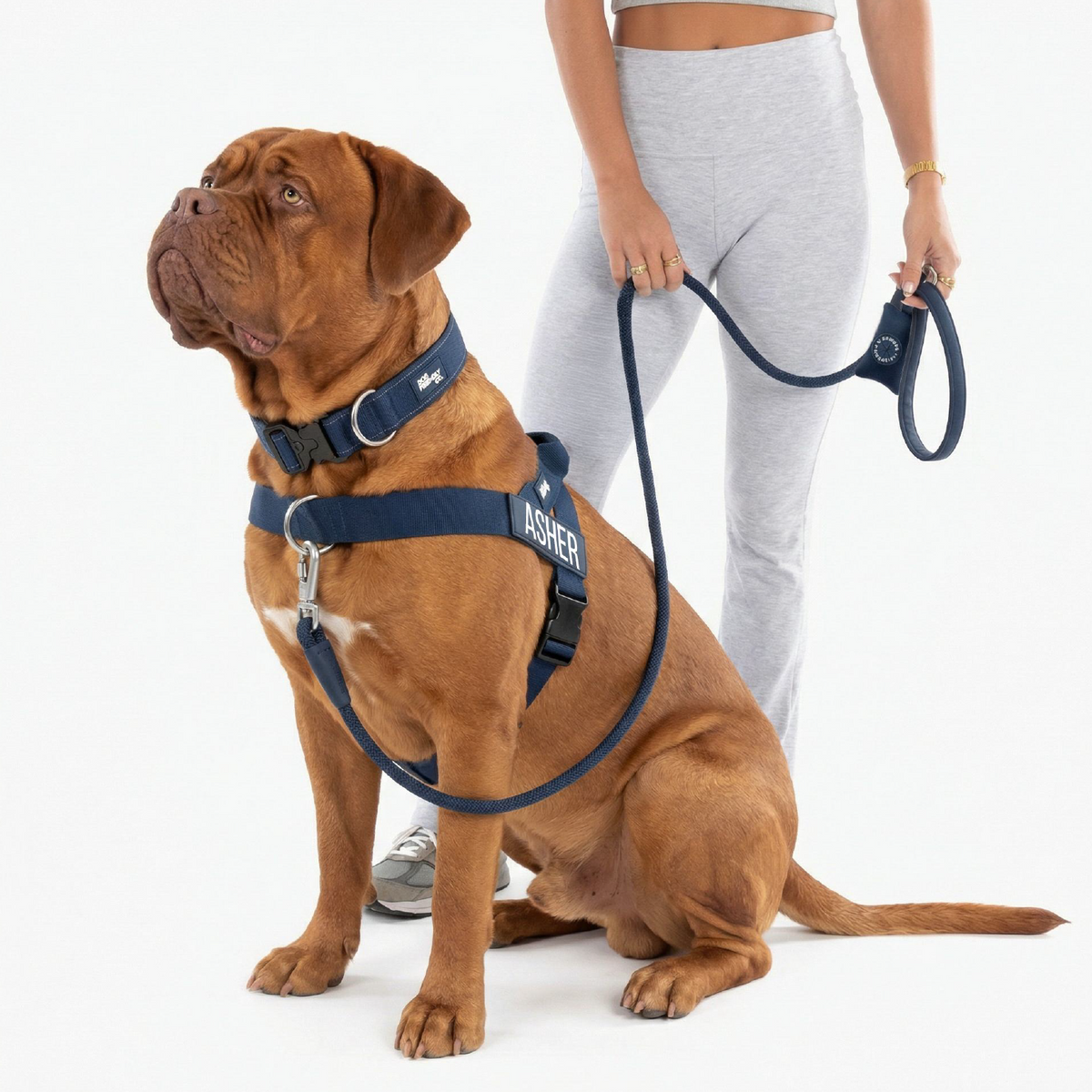 Dog Lovers Pack