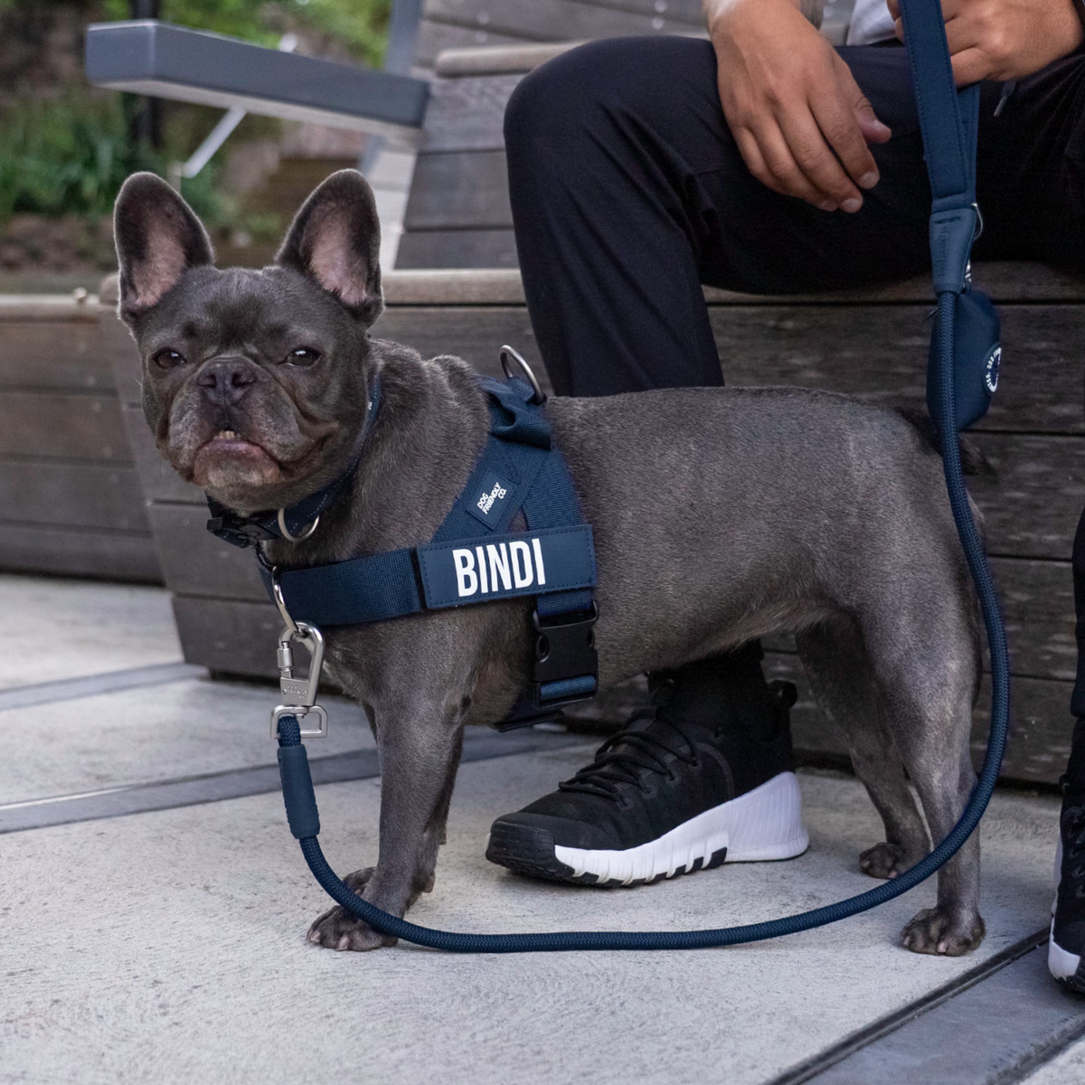 Dog Lovers Pack