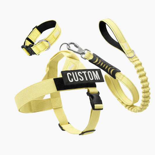 Hundeliebhaber-Paket - Gelb