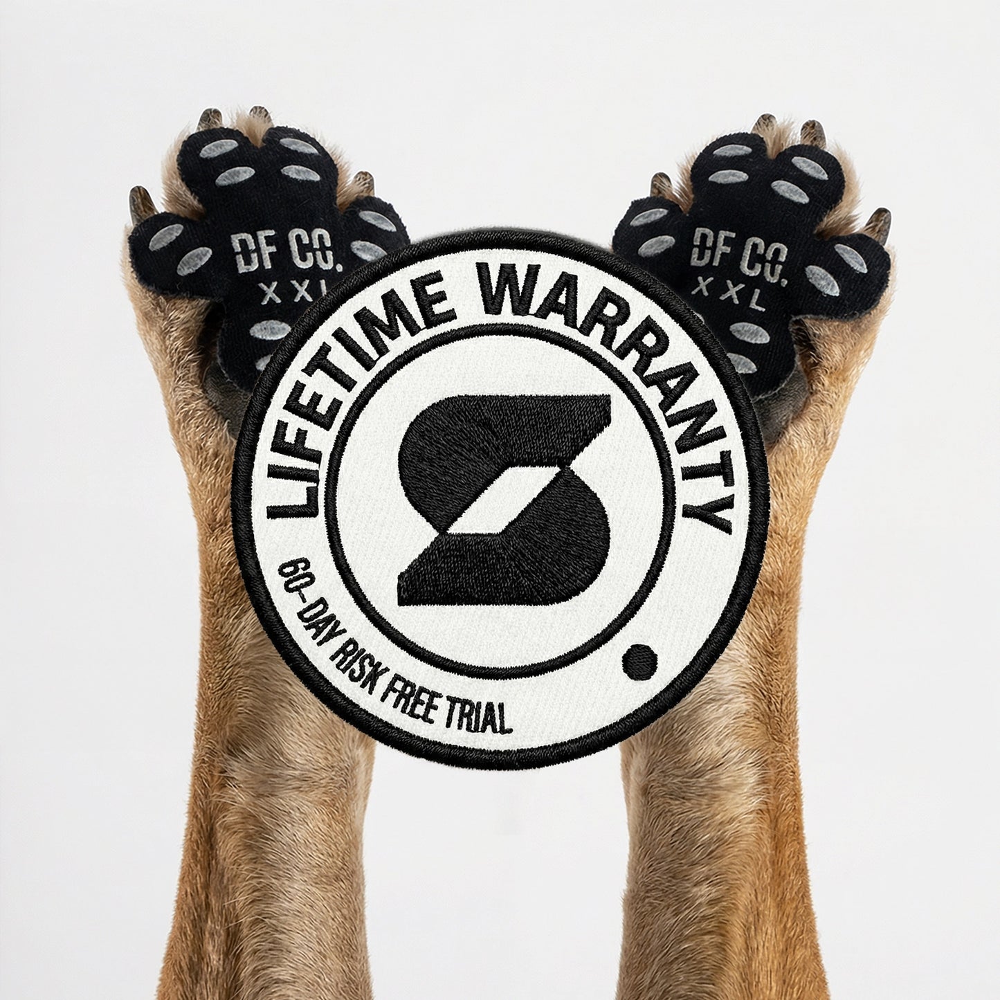 Hundepfoten-Schutzpolster