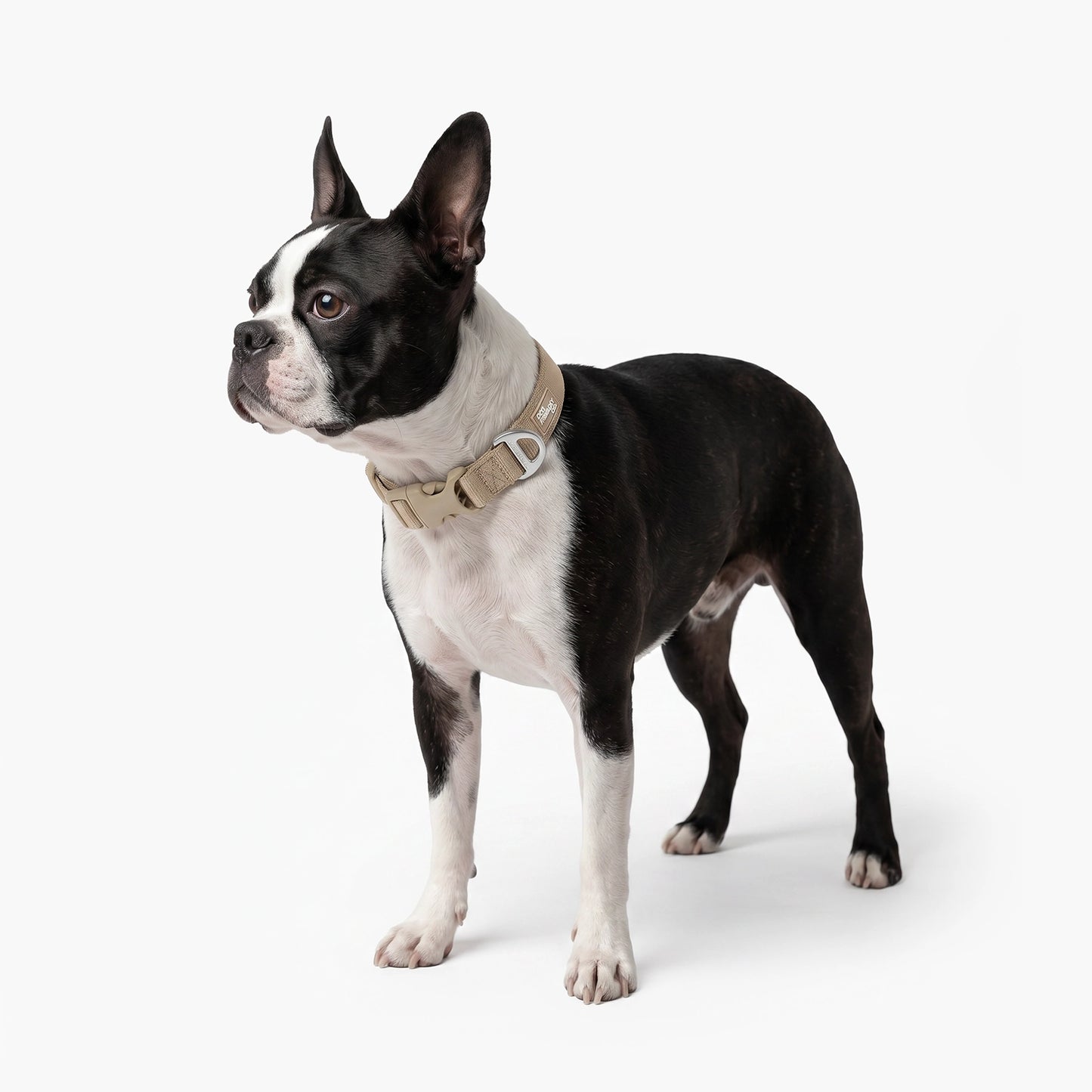 Essentials Collar - Brown