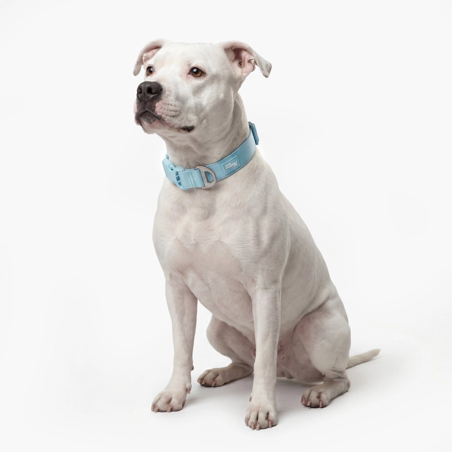 Essentials Collar - Sky Blue
