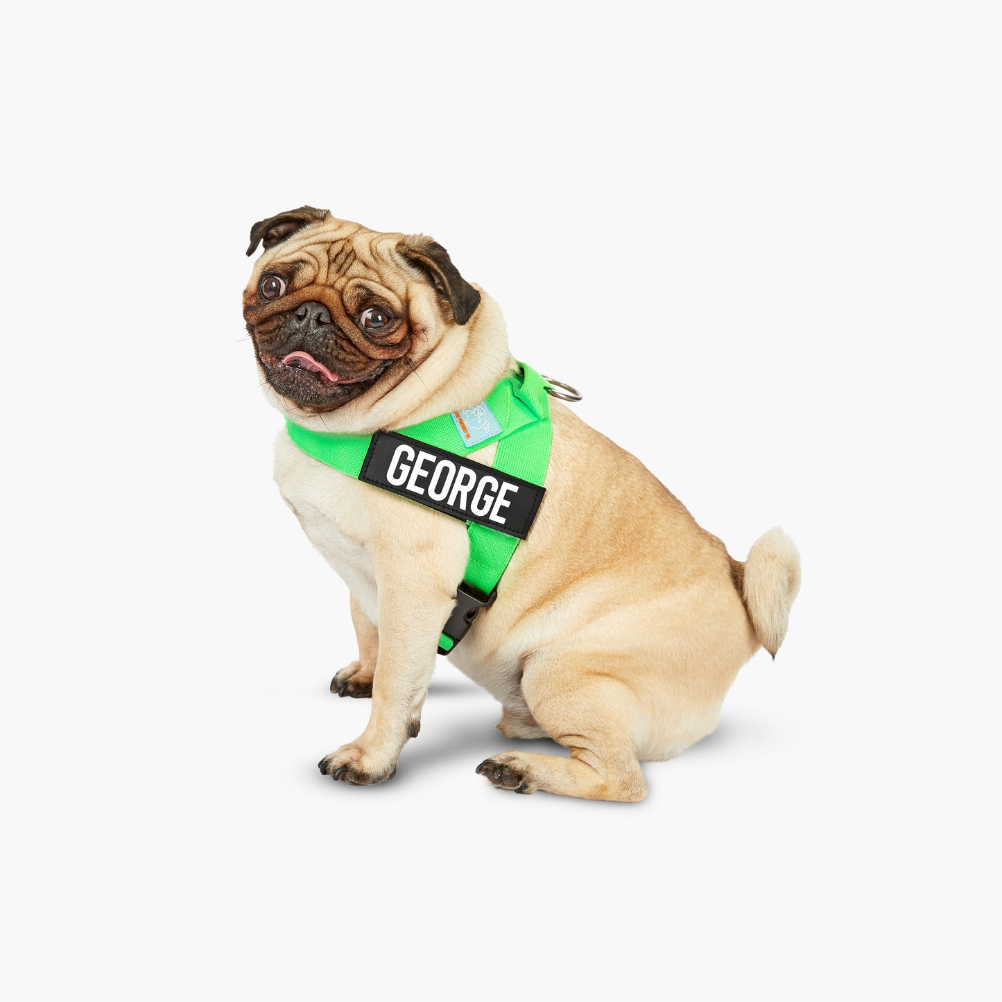 <h2>Spaziergangsbedarf</h2>