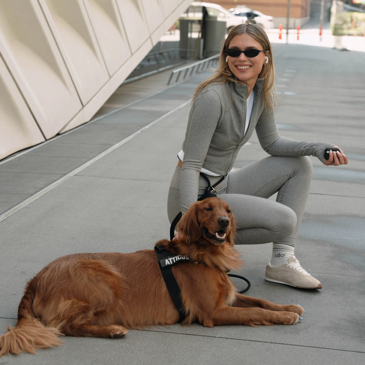 Hands Free Leash - Influencer Exclusive