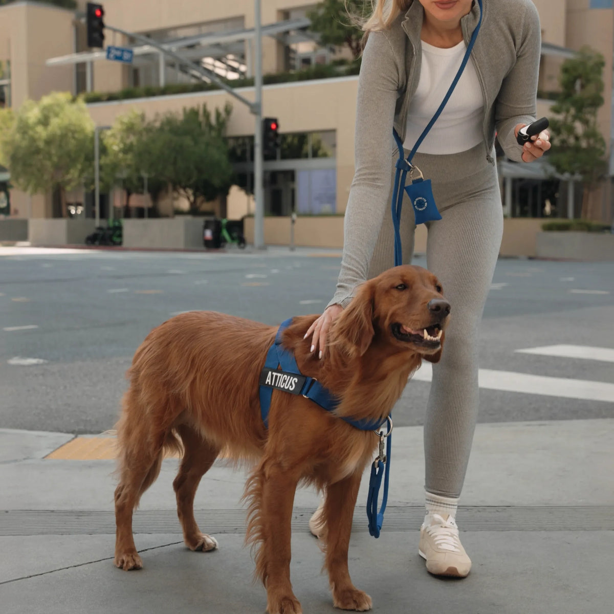 Hands Free Leash - Influencer Exclusive