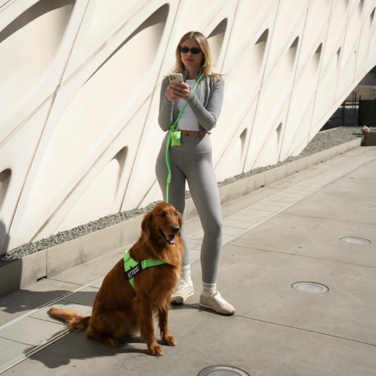 Hands Free Leash - Influencer Exclusive
