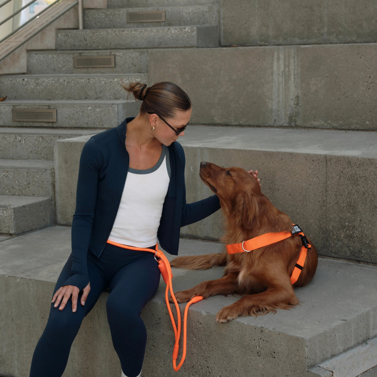 Hands Free Leash - Influencer Exclusive
