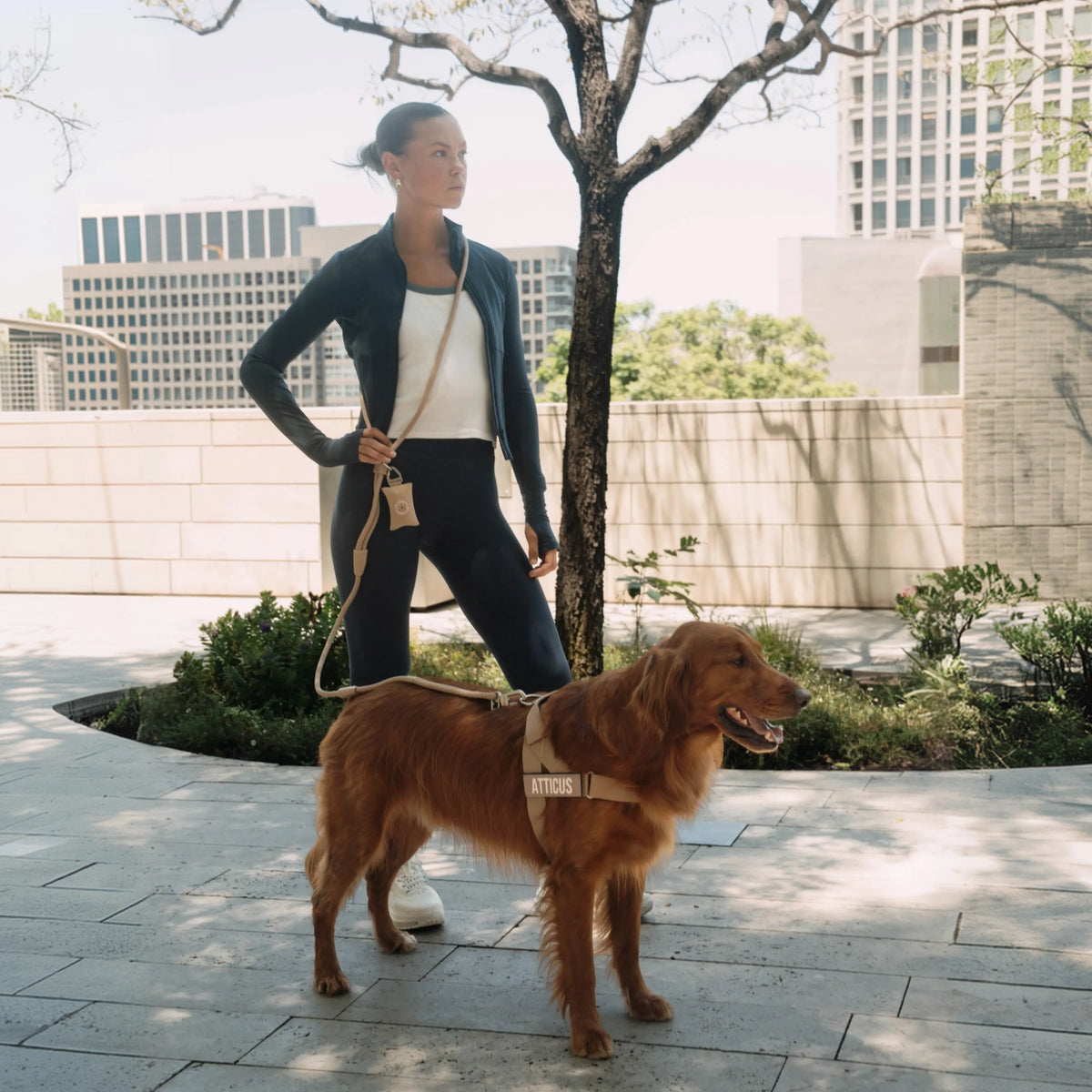 Dog owner wearing the Premium Brown hands-free leash across the body while walking a brown dog outdoors.