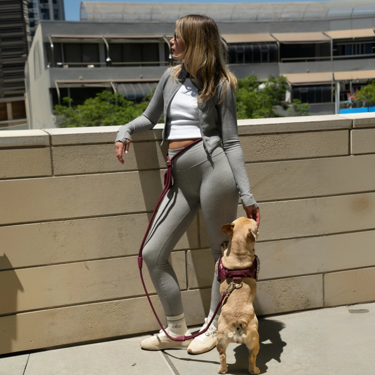 Hands Free Leash - Influencer Exclusive