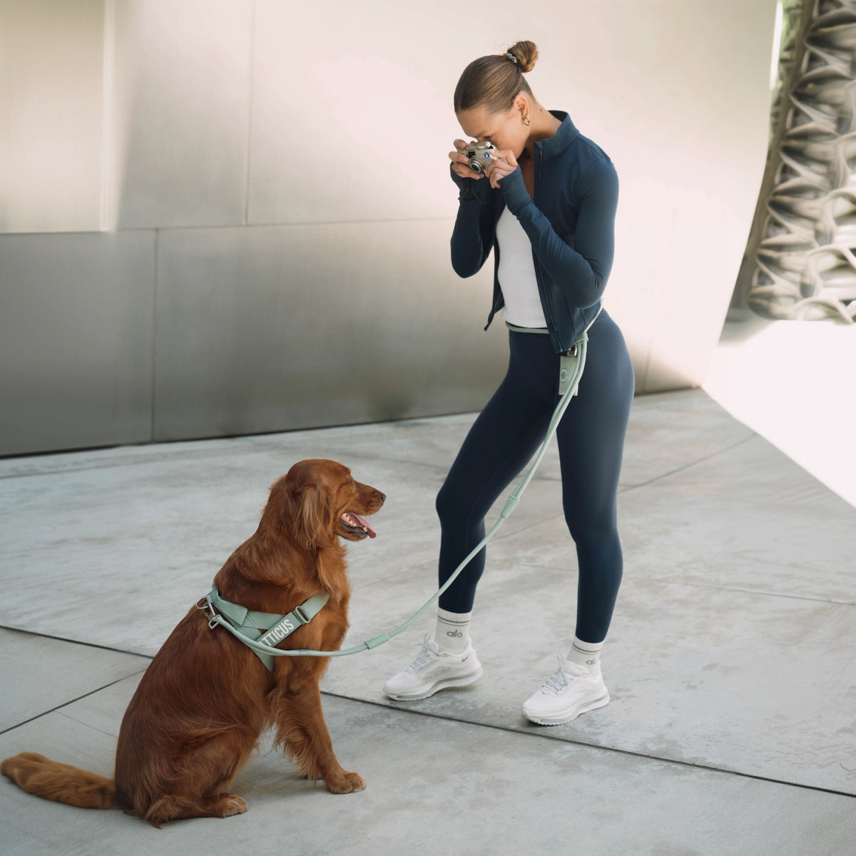 Hands Free Leash - Influencer Exclusive